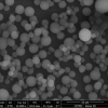Porézní nanočástice pro cílenou distribuci látek