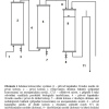 Metal ions capture equipment for purification of contamined water using biological immobilization