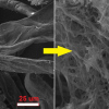 A method of production of nanofibrillated cellulose