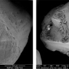 Modified abrasive concentrates with special properties for specific use in abrasive water jet technology